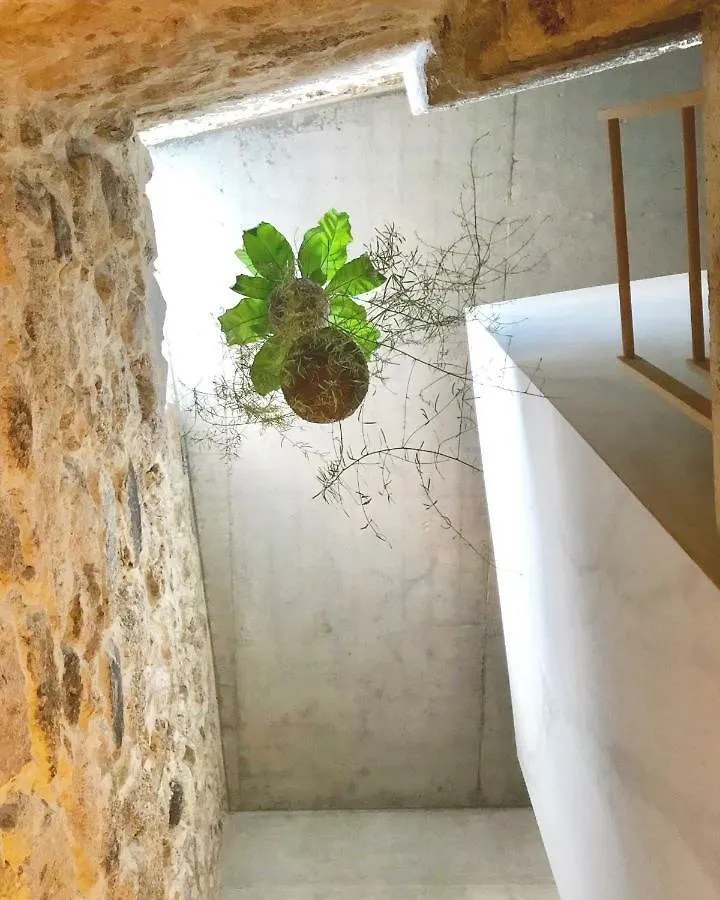 Element Apartment Viseu